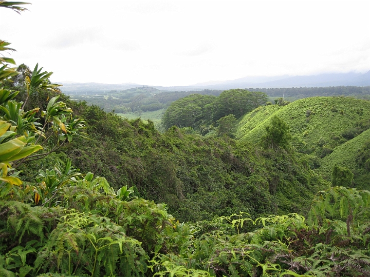 14 Kuilau Ridge trail.jpg
